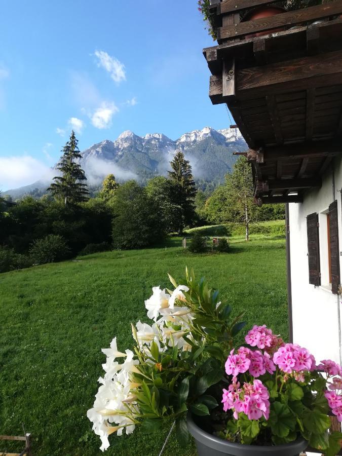 B&B Il Crogiolo Bosentino Bagian luar foto